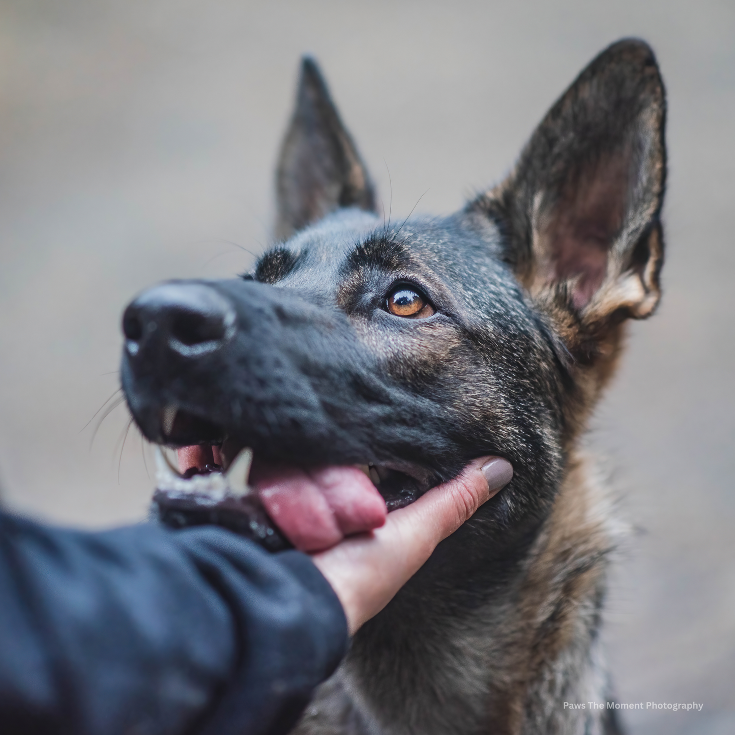 Bond and Beyond (Engagement) Course