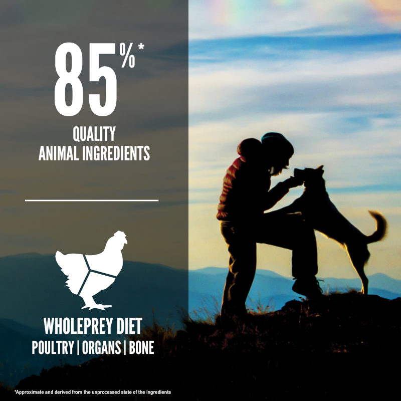 ORIJEN Original Dog Food