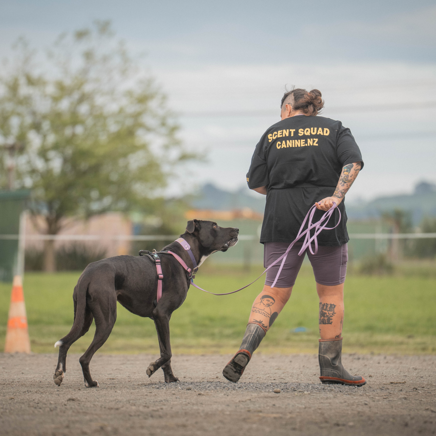 Person wearing a scent squad t-shit with their black dog.