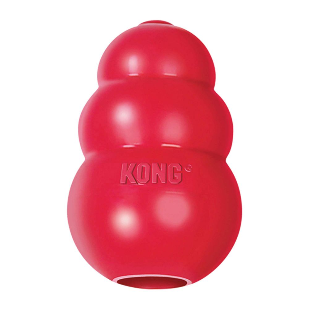 Red KONG classic rubber dog toy.