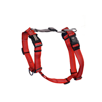 Blue-9 Reflective Balance Harness