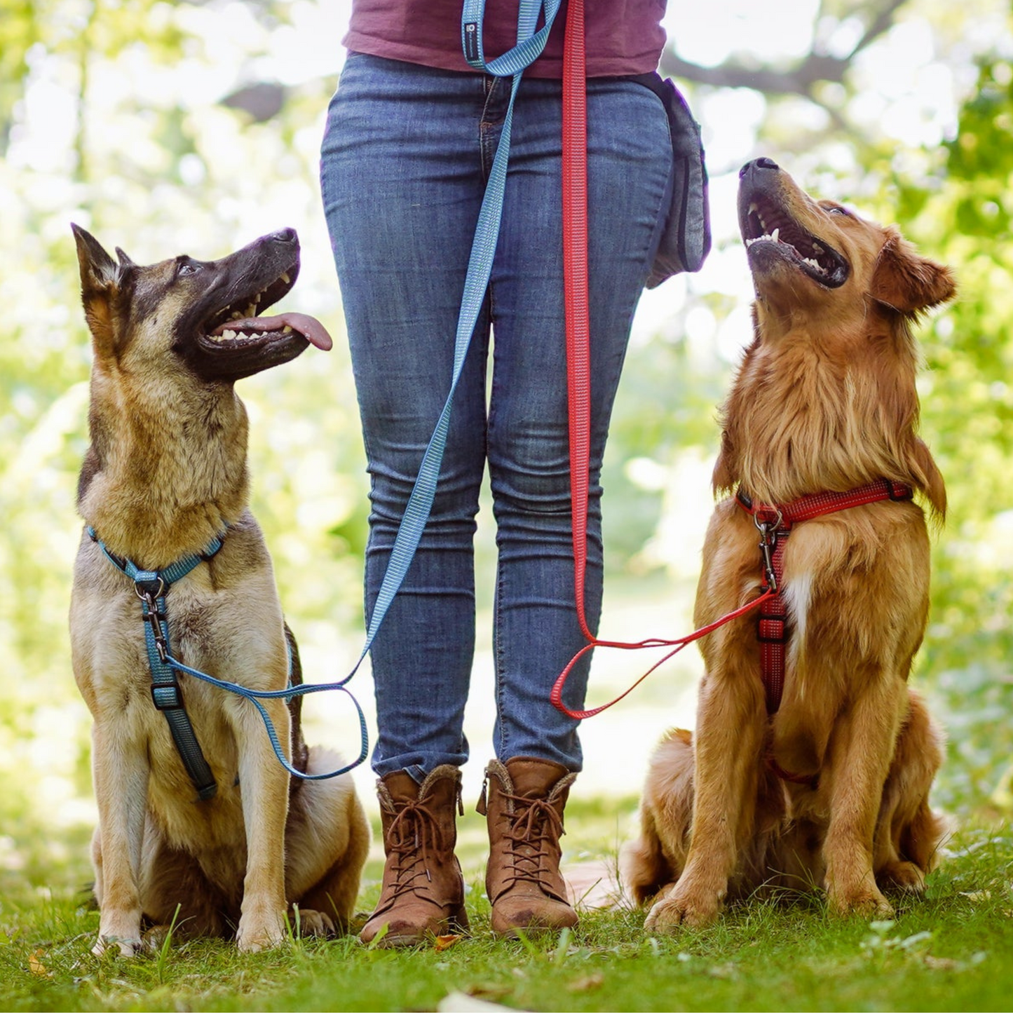 Blue-9 Reflective Balance Harness