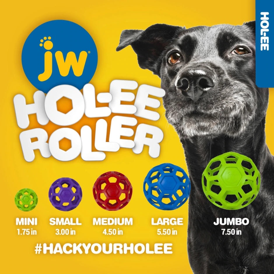 A black dog on a yellow background with five colourful balls in different sizes.