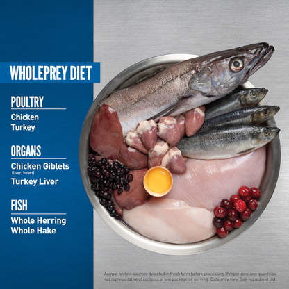 Photo of a dog food bowl with fresh ingredient like fish, chicken heart, chicken breast, liver, eggs, and berries.