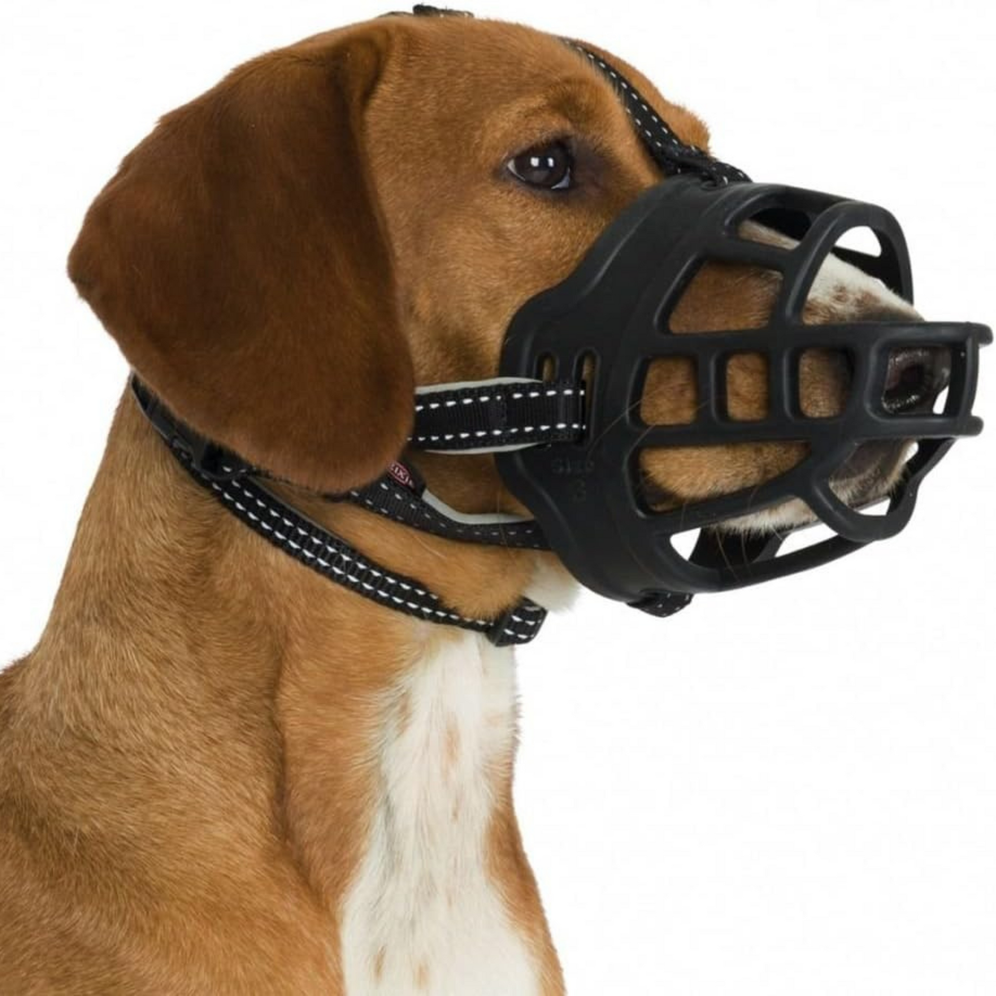 Dog wearing the Trixie flex silicone dog muzzle.