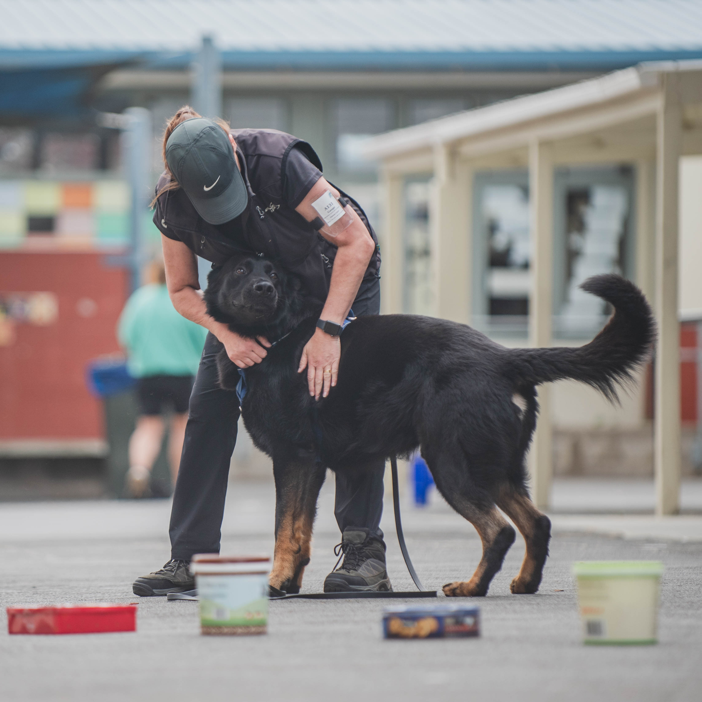 Person training a black dog on an outdoor concrete surface with colorful containers.