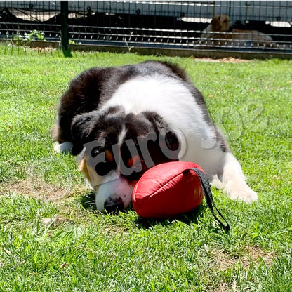 Euro Joe Leather "Viva" Dog Rugby Ball